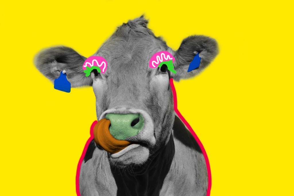 ilustración digital